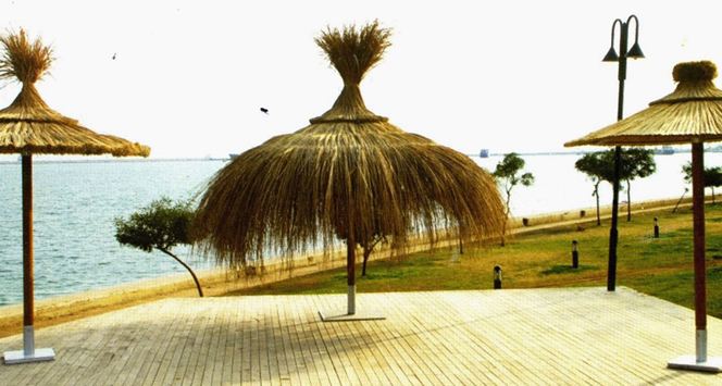 Saz Şemsiye