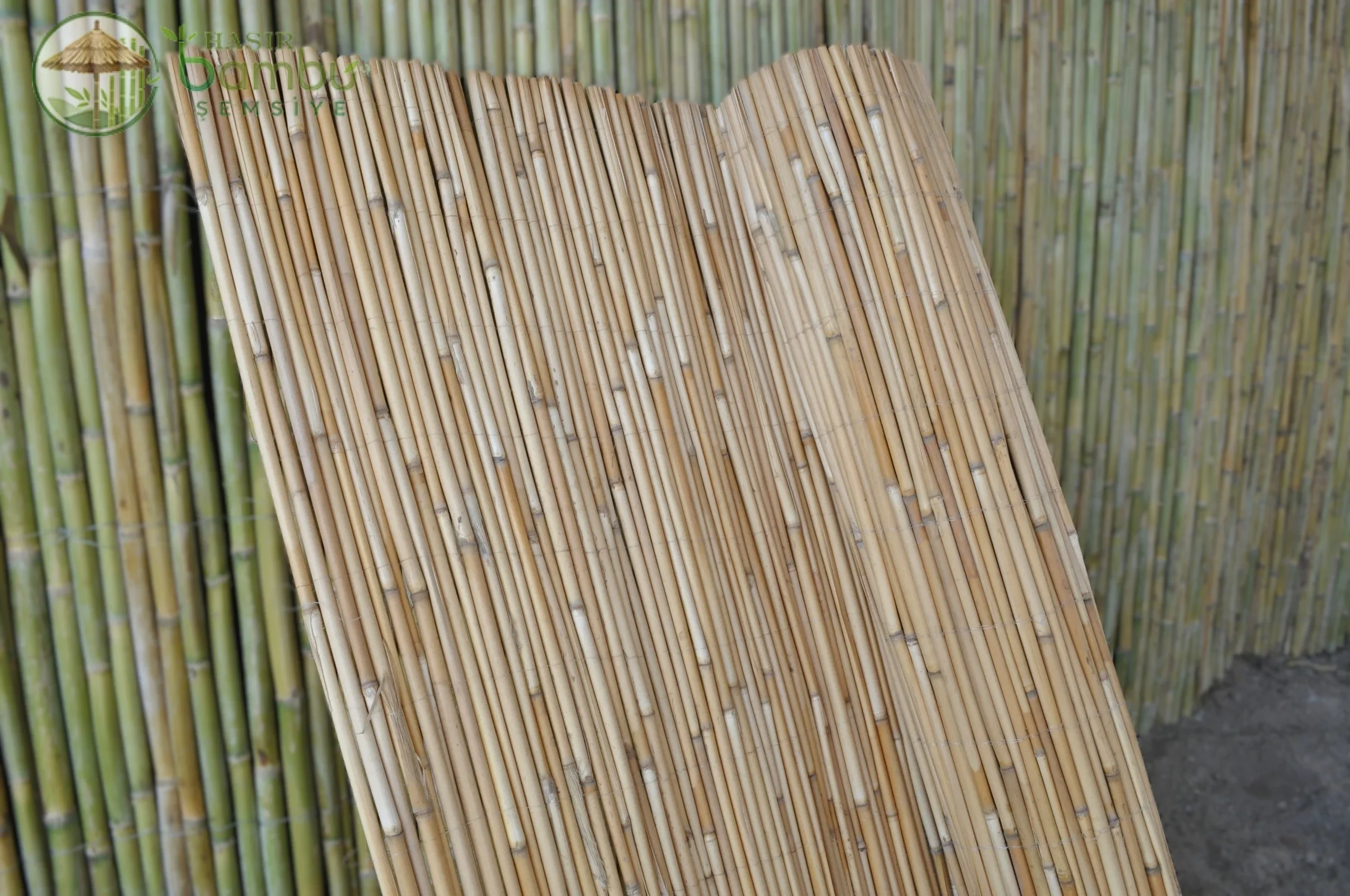 Bambu Kamış